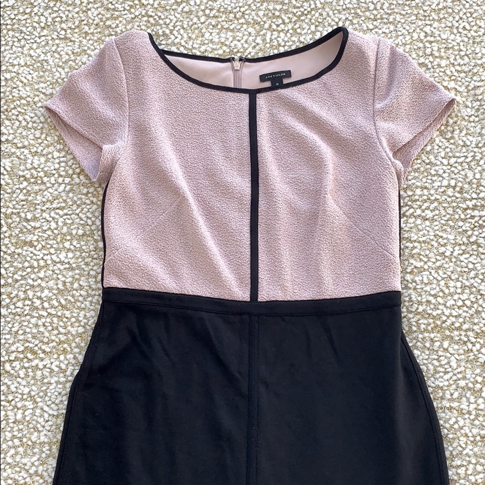 Ann Taylor Rose & Black Cap Sleeve Dress